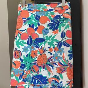 Talbots Canvas Cotton Skirt